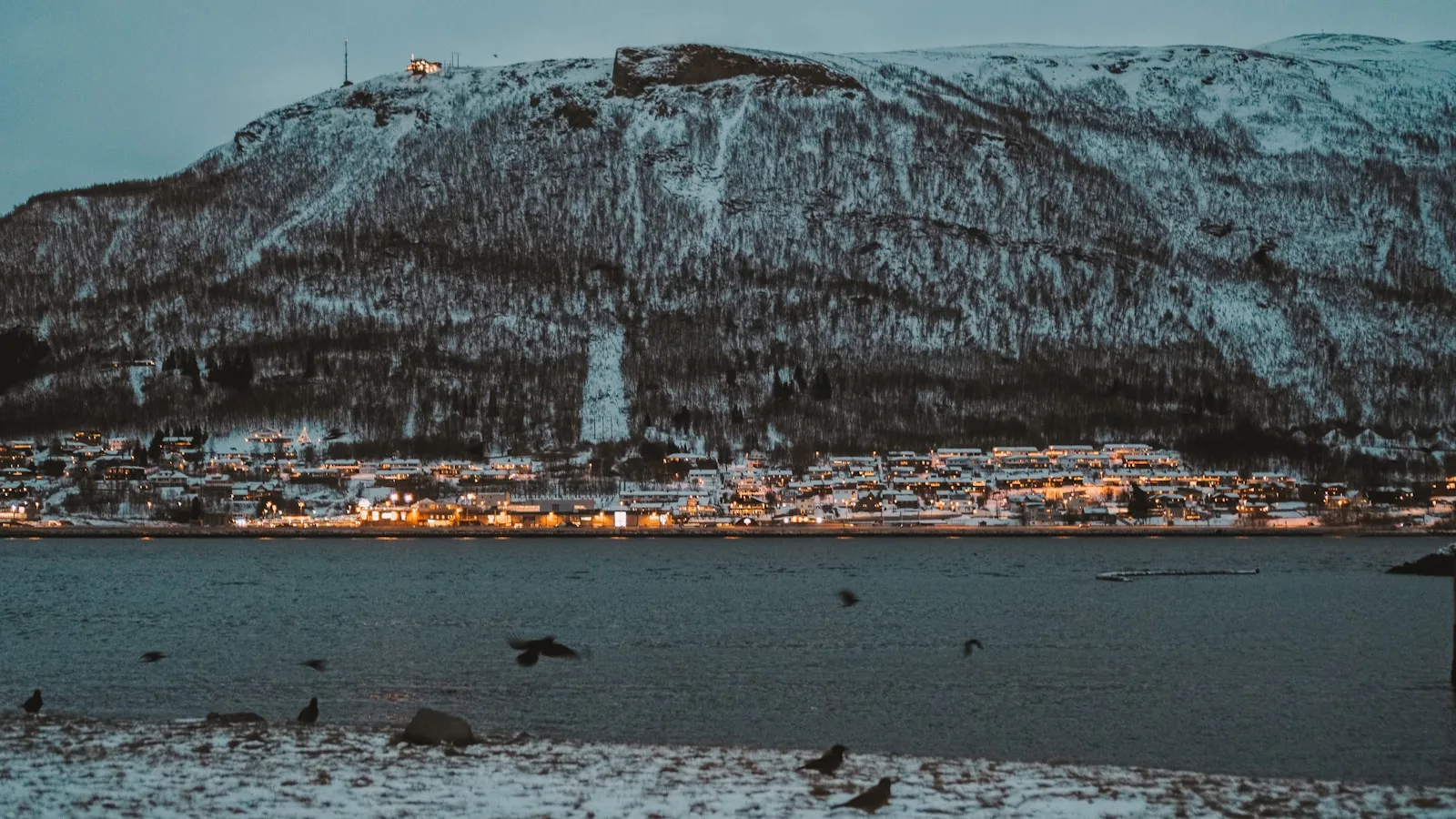 Le piège du road trip entre Rovaniemi, Kiruna et Tromsø