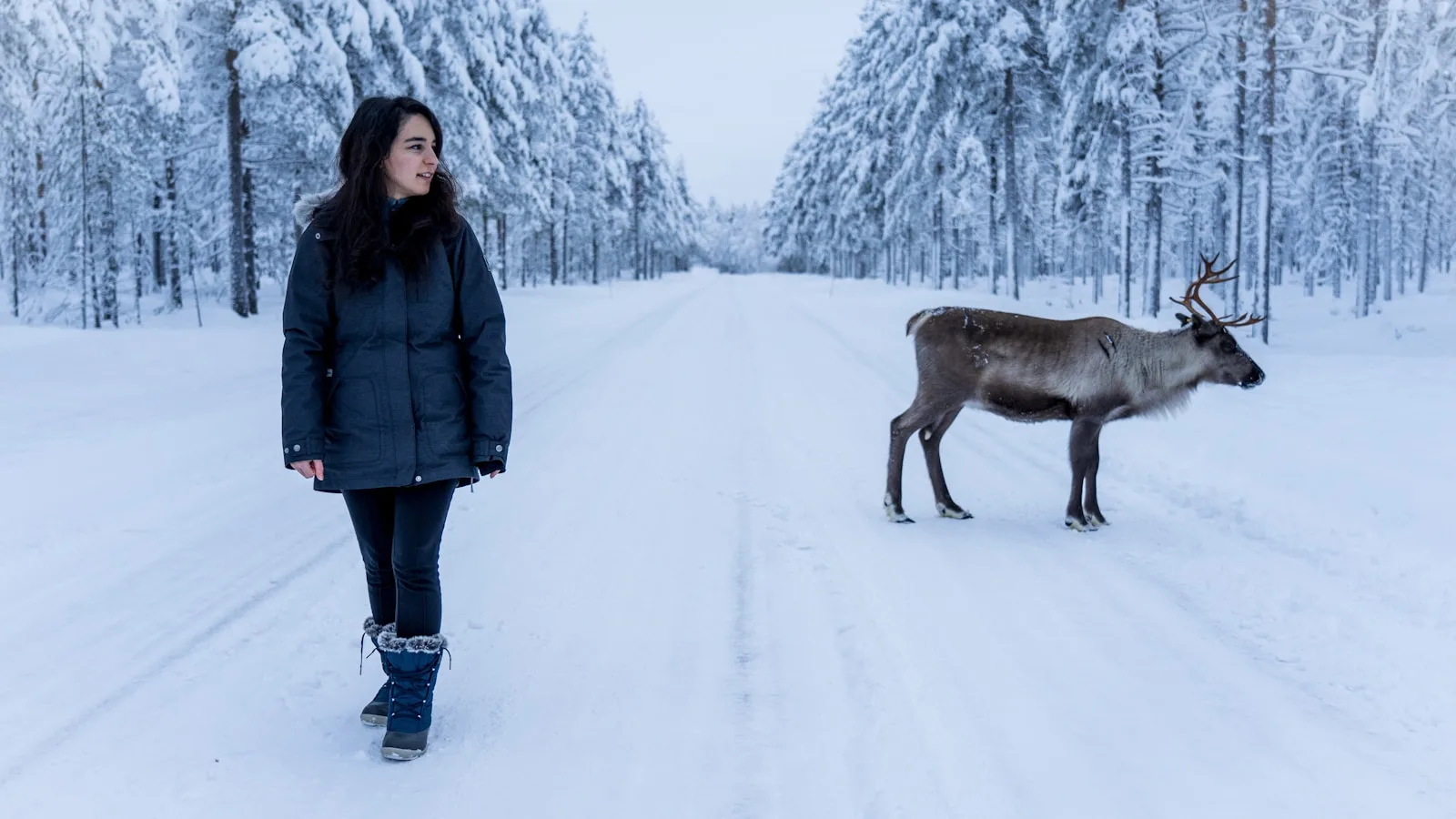 Présentation de la Laponie finlandaise