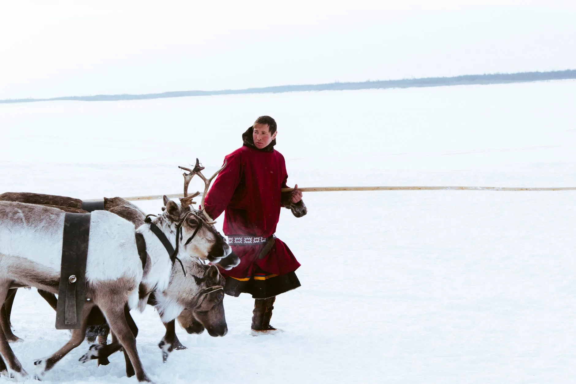Culture sámi en Laponie norvégienne