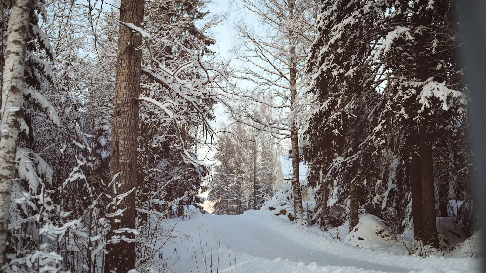 Pourquoi louer une voiture en Laponie en hiver ?
