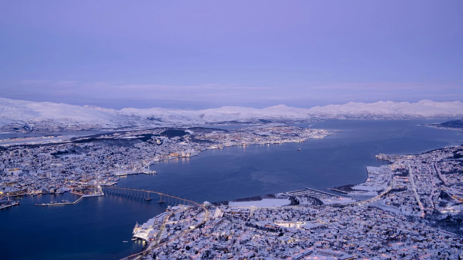 Le renne à Tromsø et en Laponie norvégienne