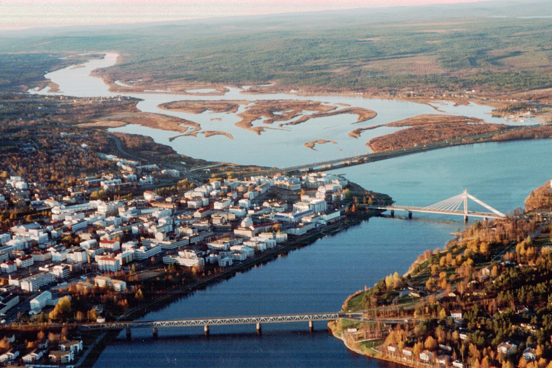 Où goûter le renne à Rovaniemi