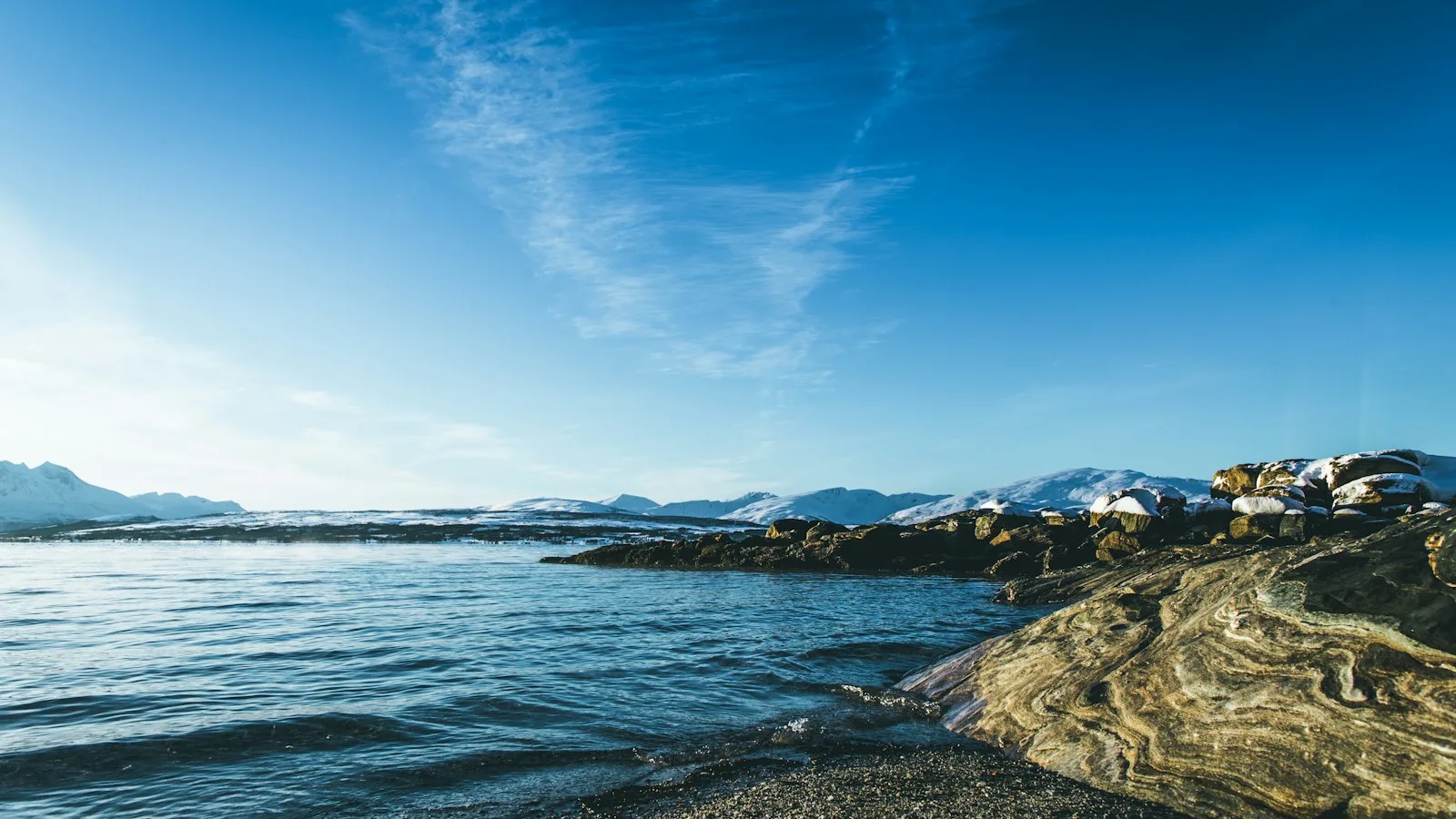 Fiskekompaniet : le temple du poisson arctique