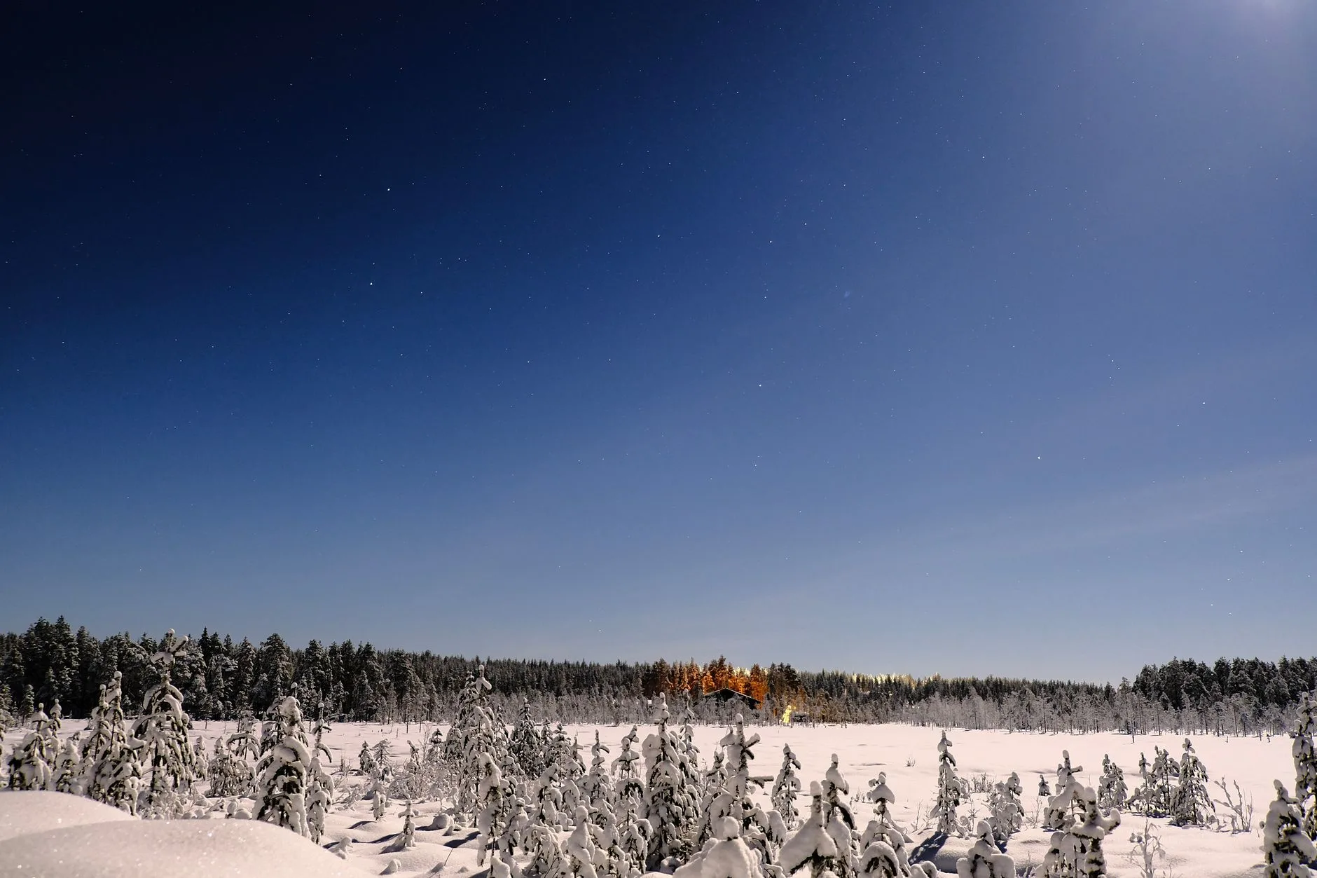Laponie en hiver : vivre la nuit polaire