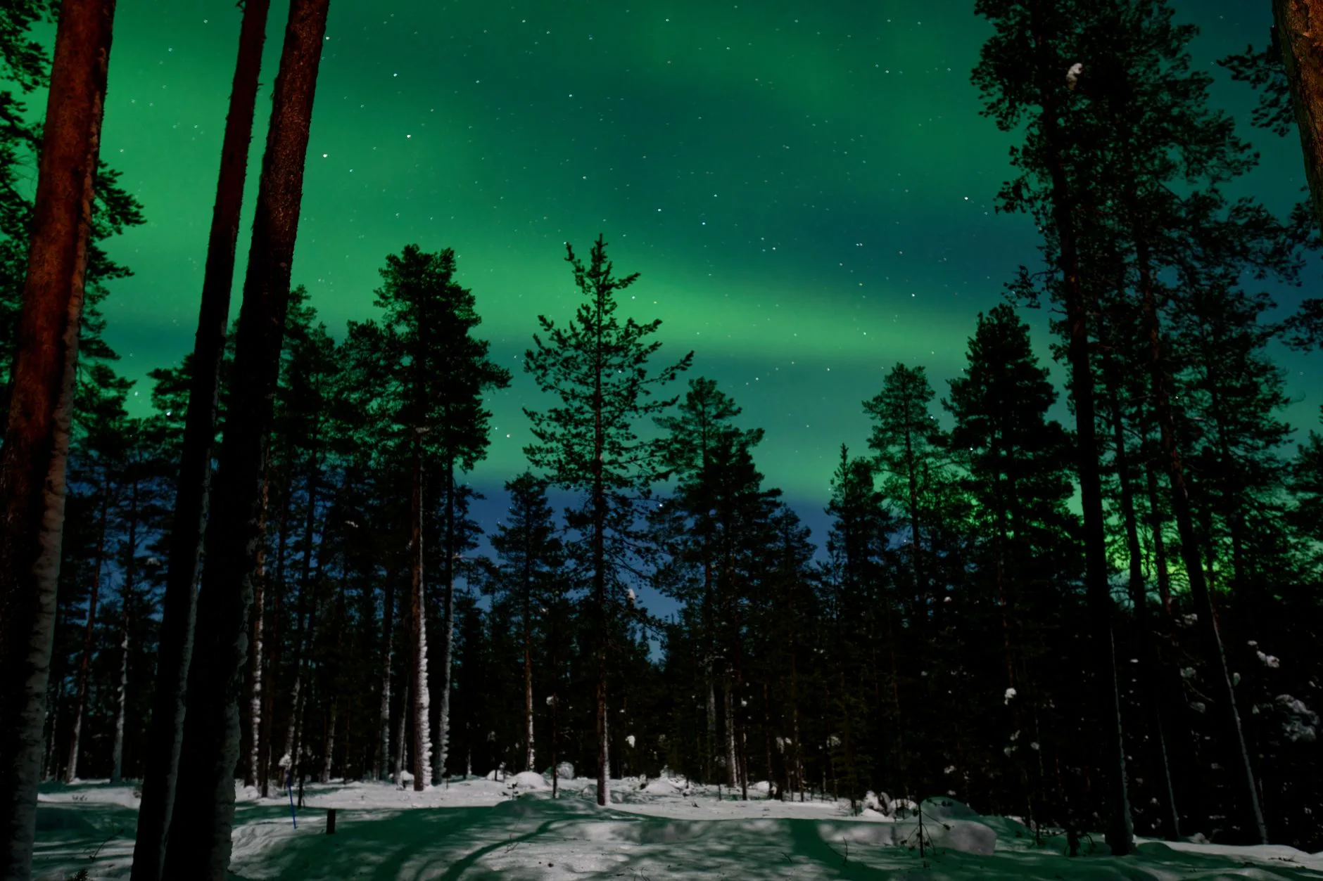 Aurores boréales à Saariselkä