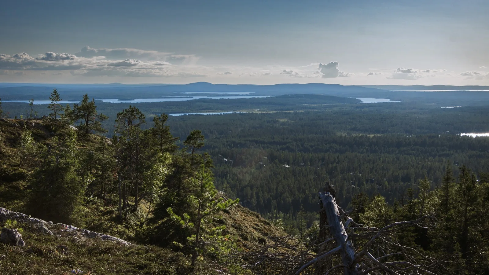 Le parc national Urho Kekkonen : le poumon sauvage de Saariselkä