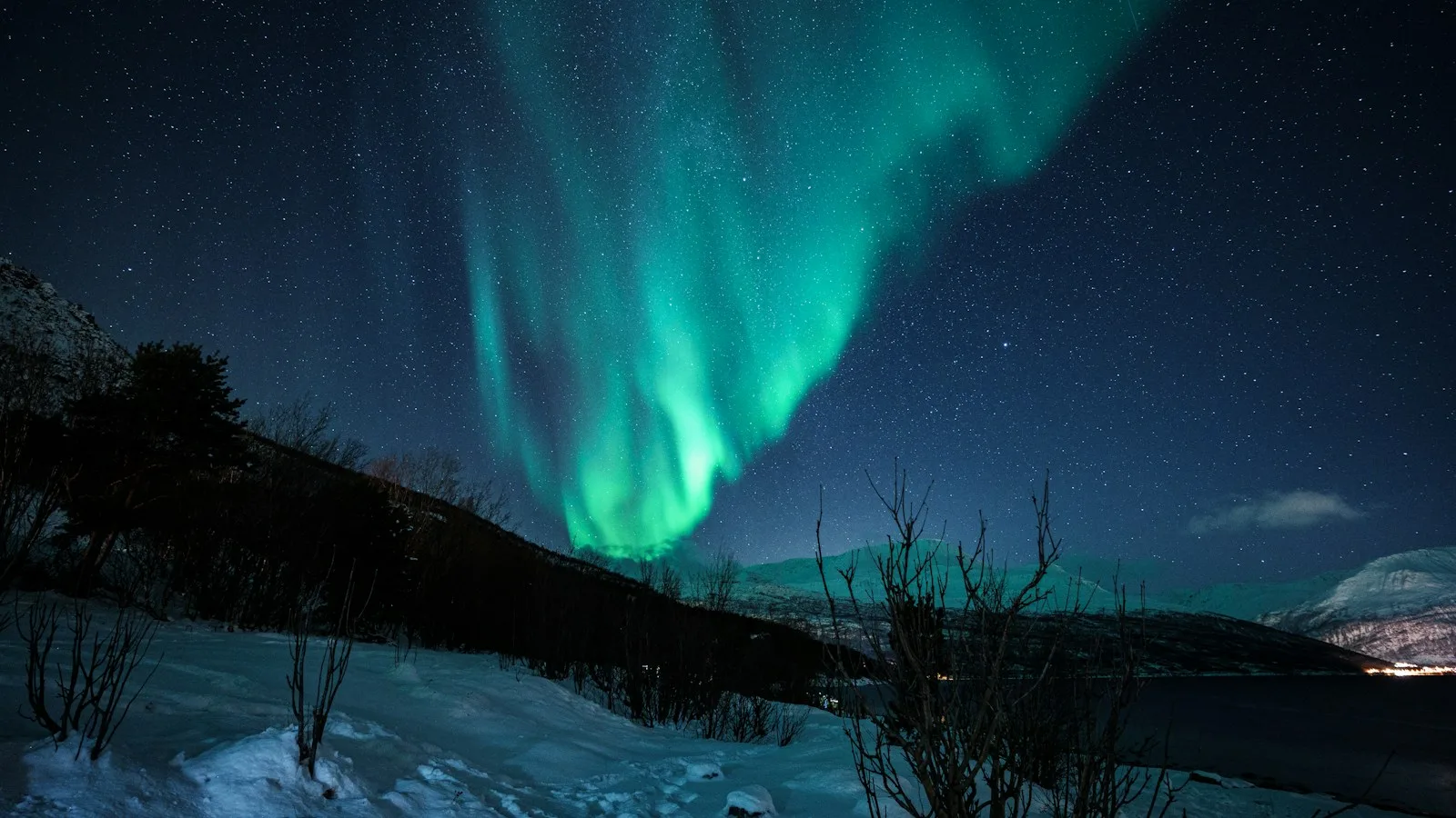 Les aurores boréales à Tromsø : le guide pratique
